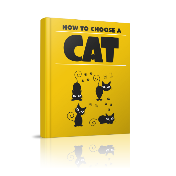 How to Choose A Cat