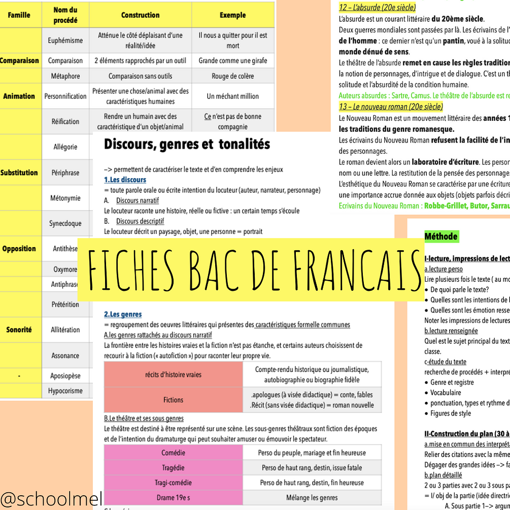 fiches bac de français