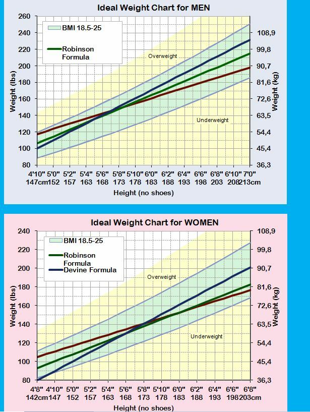 Ideal Weight Chart