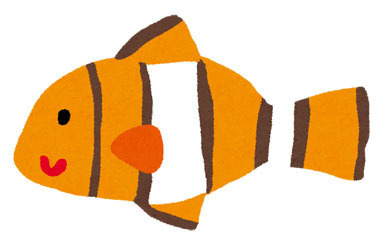 熱帯魚のイラスト クマノミ