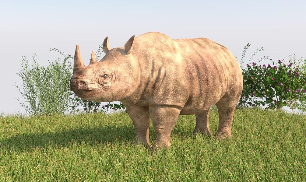 rhinoceros 3d 4 download