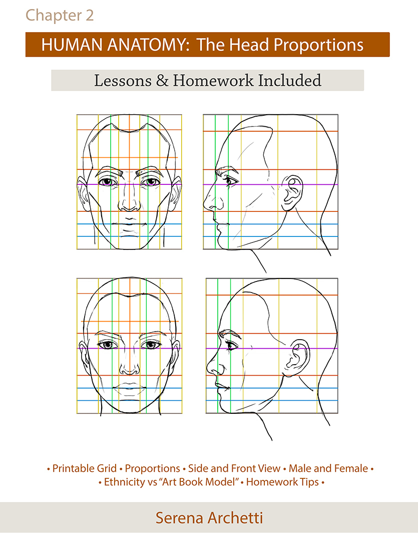 What is anatomy and physiology image