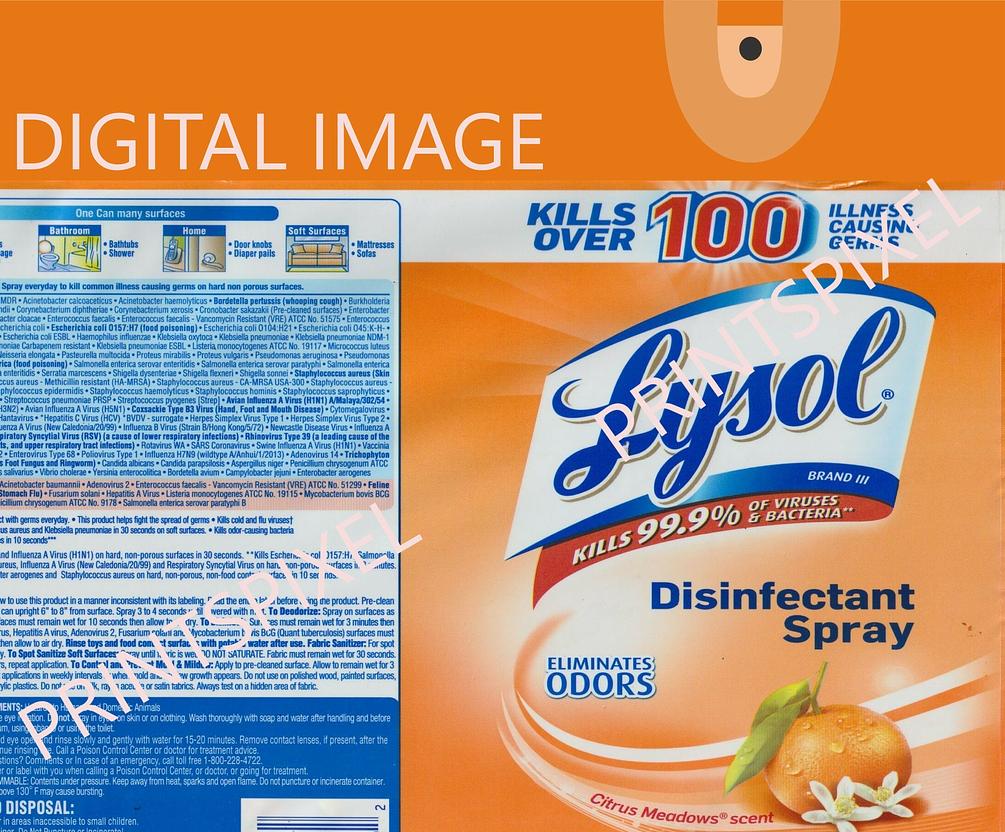 Digital Lysol Label with Nozzle Download Files JPG PNG PDF Orange