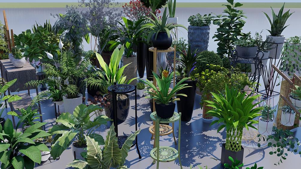 plant set 1 (60 pieces) for lumion 9