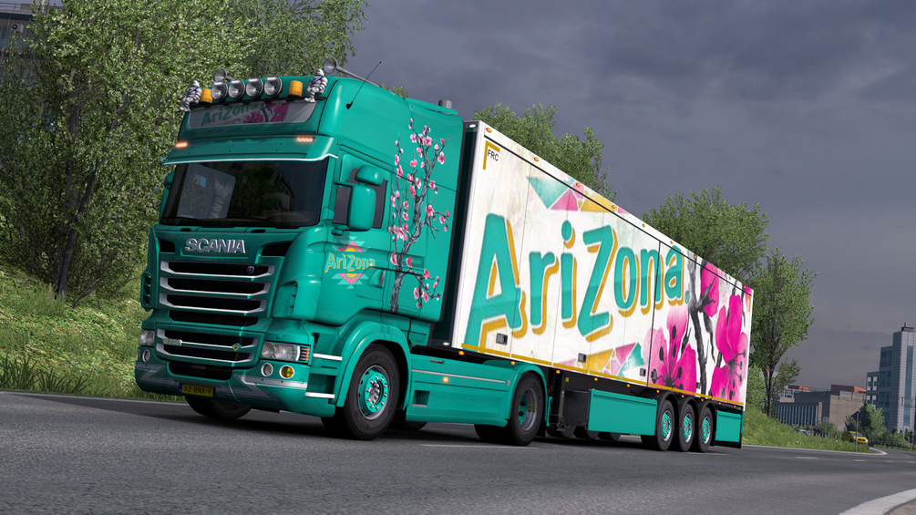 Arizona Trailer Skin