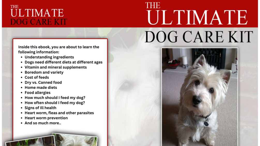 Ultimate Dog Care Kit