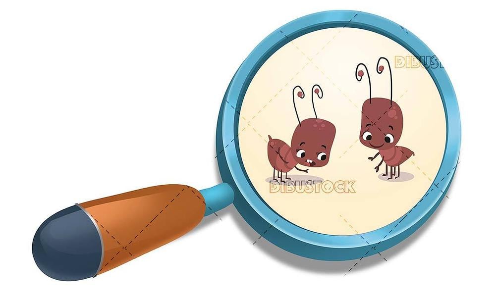 Magnifying glass watching two funny ants
