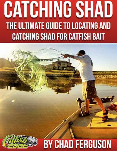 Catching Shad Book: How To Catch Shad [eBook]