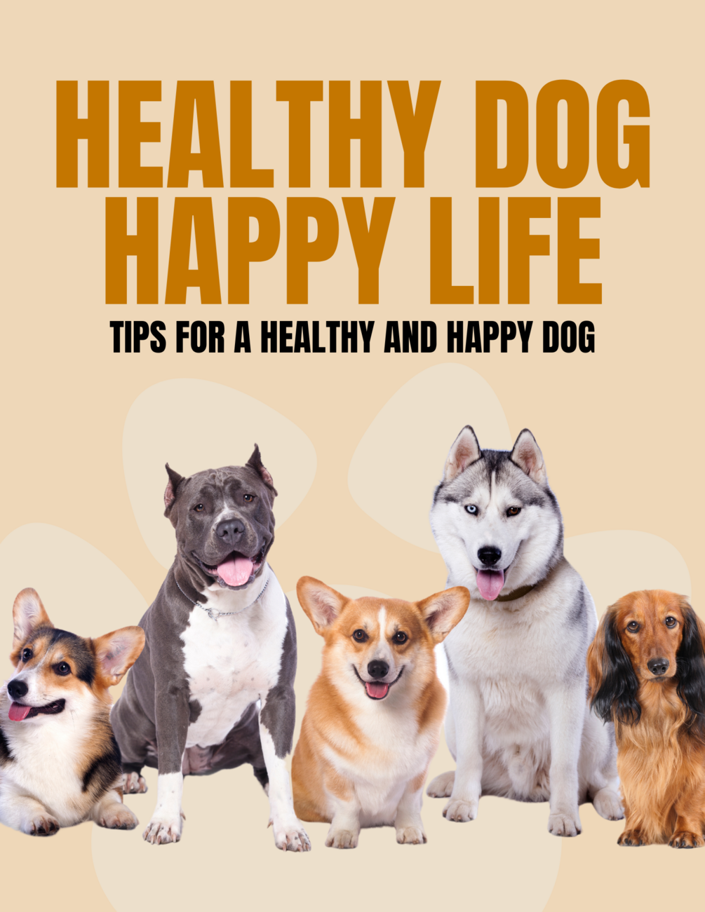 Healthy Dog Happy Life Tips for a Healthy and Happy Dog