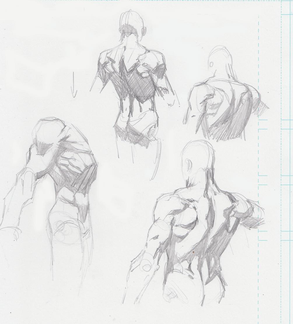 Featured image of post The Best 14 Male Torso Anatomy Drawing Reference