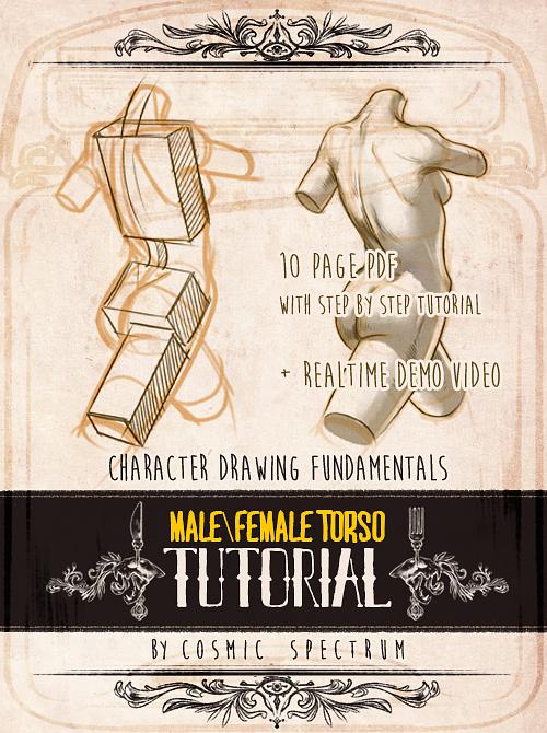 Character Fundamentals: Male and Female Torso