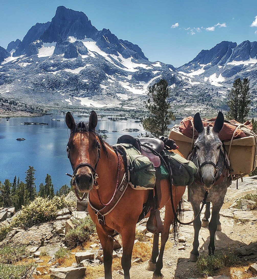 Wilderness Equestrian Camping A Guide to Getting Started