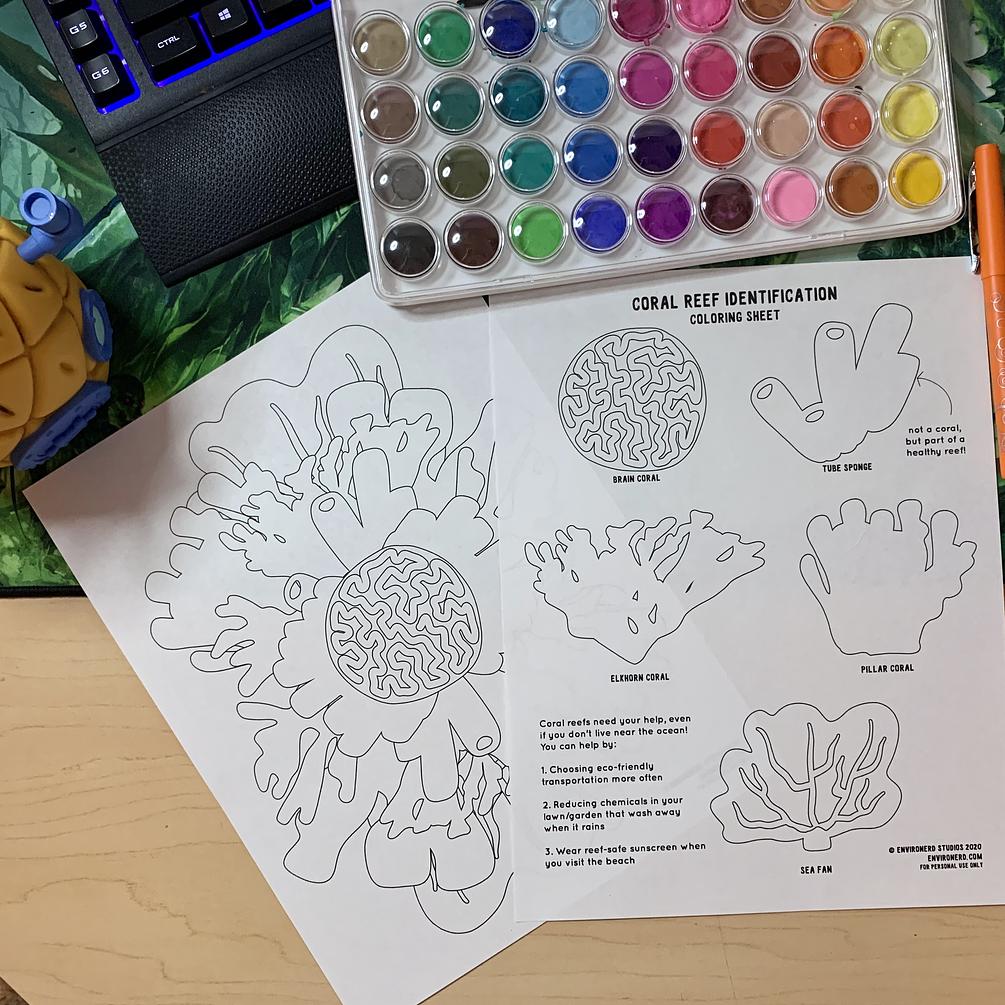 Coral Reef Coloring Sheets