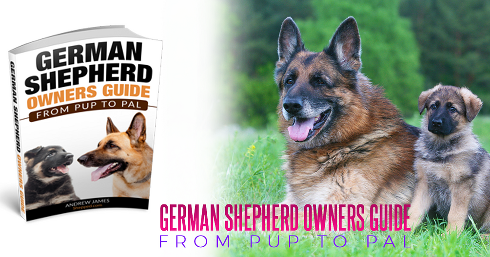 German Shepherd Owners Guide (ebook, audiobook and bonuses)