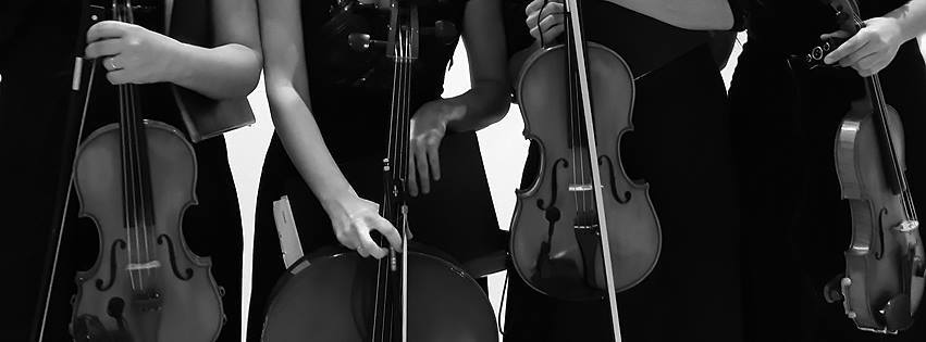 can-t-help-falling-in-love-string-quartet-arrangement