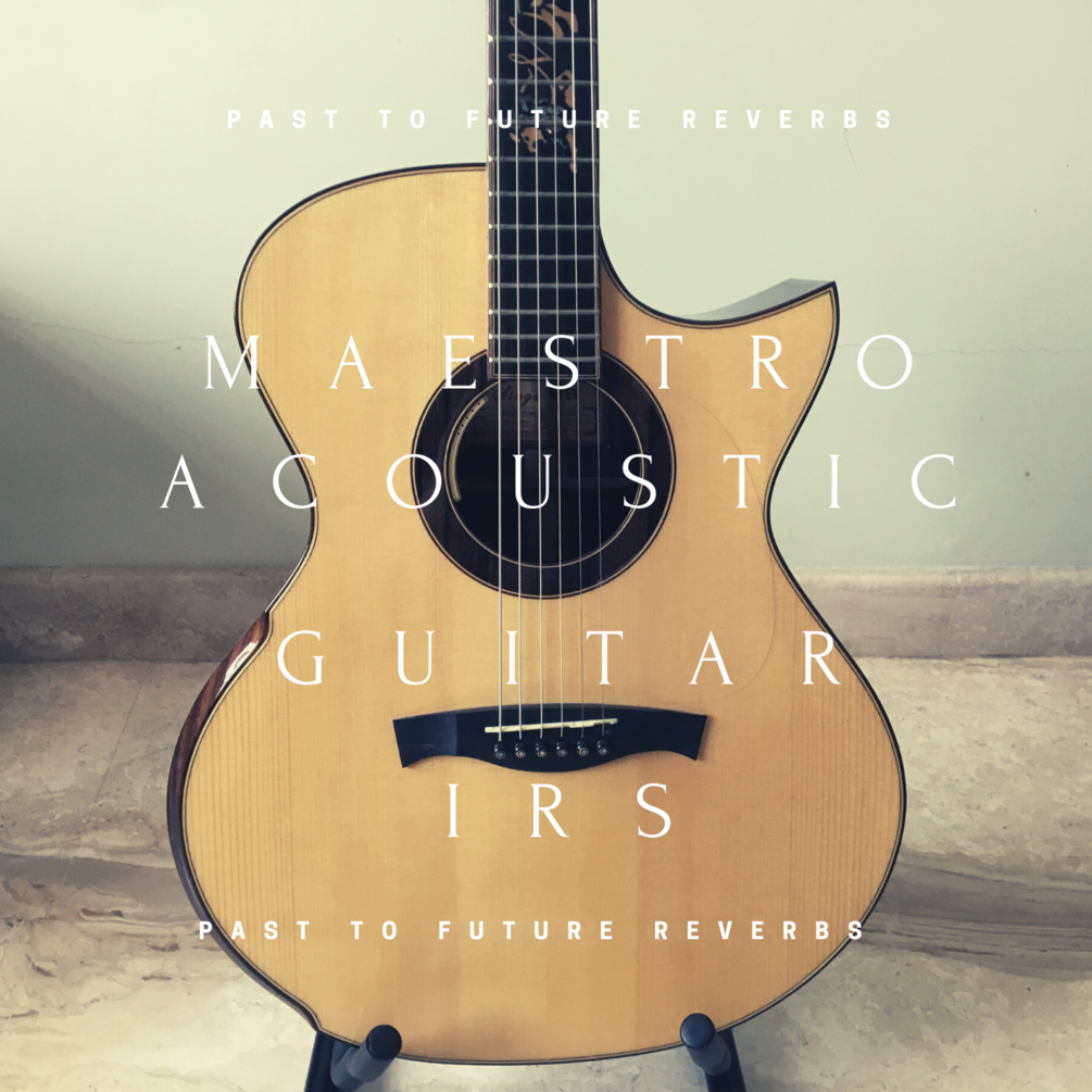 MAESTRO ACOUSTIC GUITAR IRS!