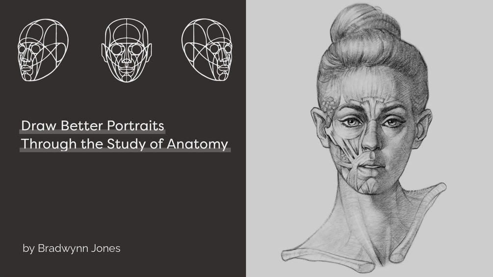 Facial Anatomy & Portrait Fundamentals Drawing Course