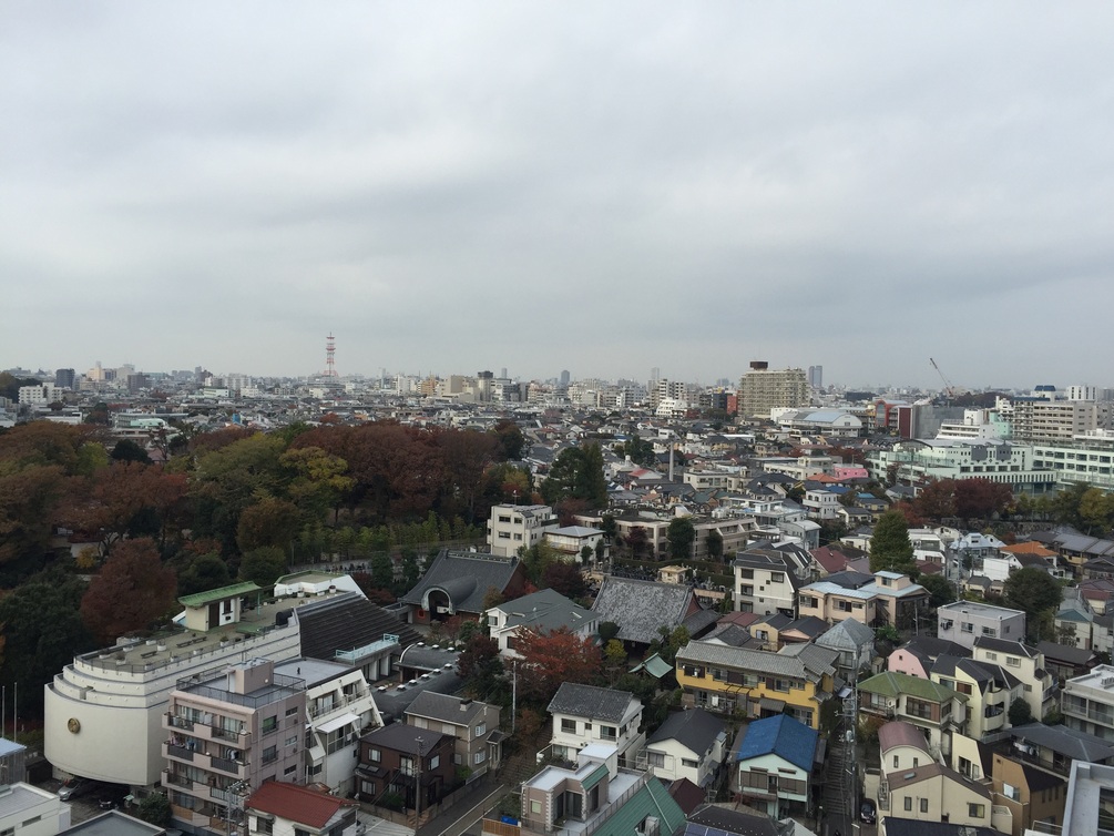 目黒下目黒3丁目マンション13階屋上から見た景観