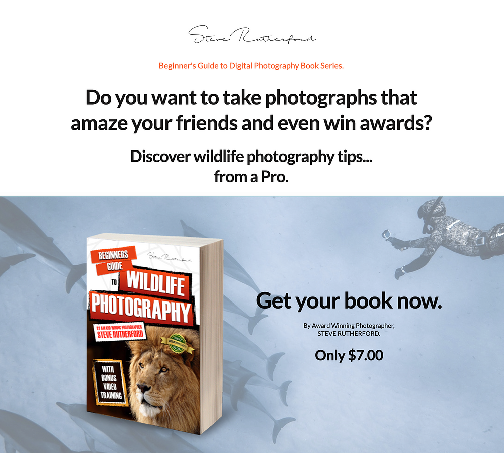 Book Wildlife Photography