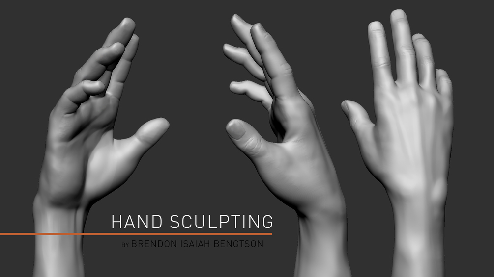ZBrush Anatomy Sculpting Hands