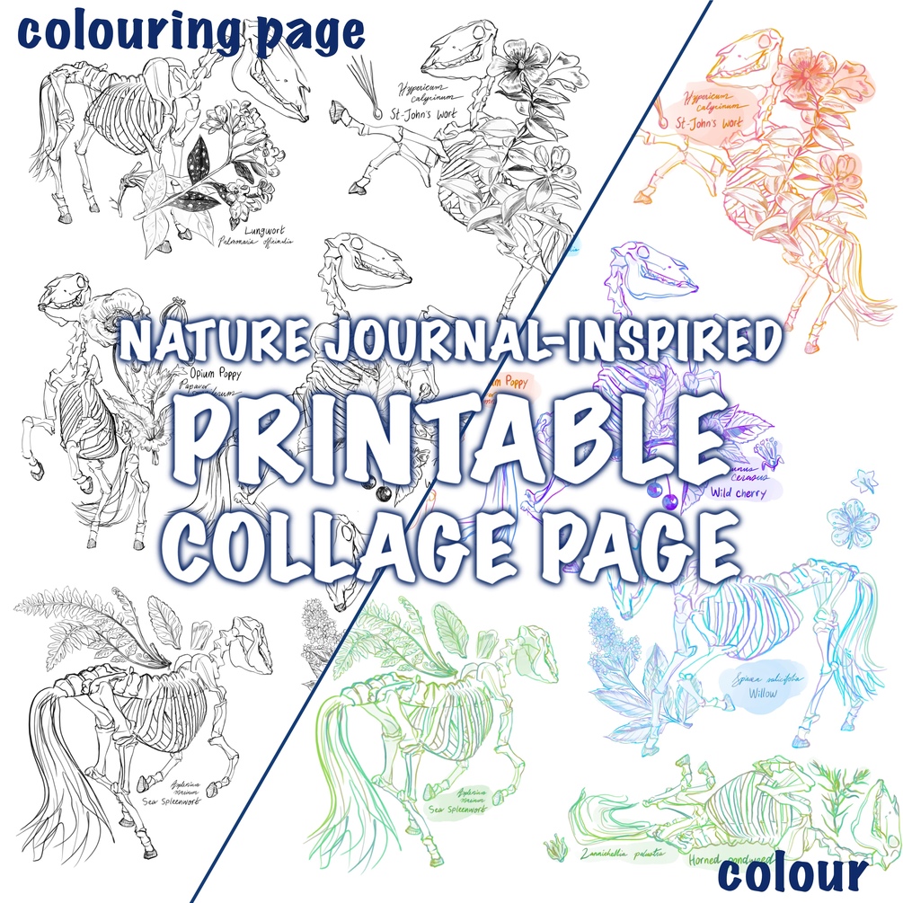 Nature Journal Printable Collage - Baaca0eb0e33dc4f9d45910b8c86623f0144cea0fe0c2093c546d17d535752eb