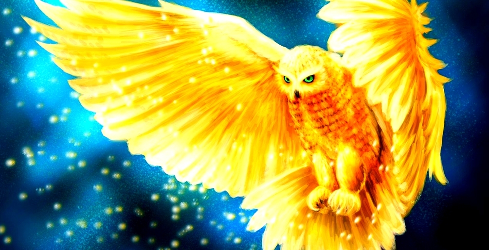 Divine Owl Powerful Plus +11x(Extra Strong)