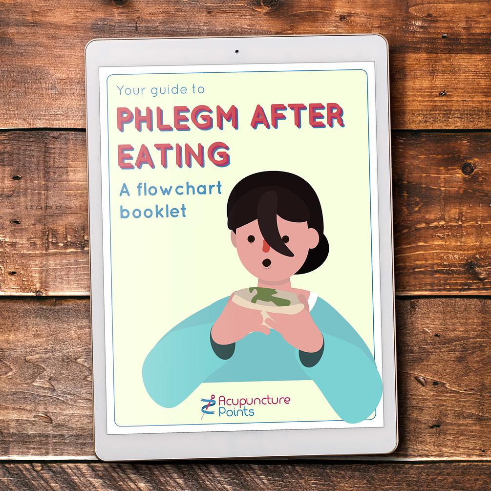 Phlegm After Eating Flowchart Booklet