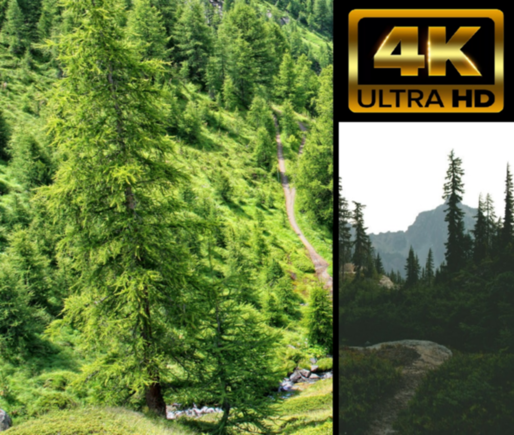 Camping Video 1 [4k]