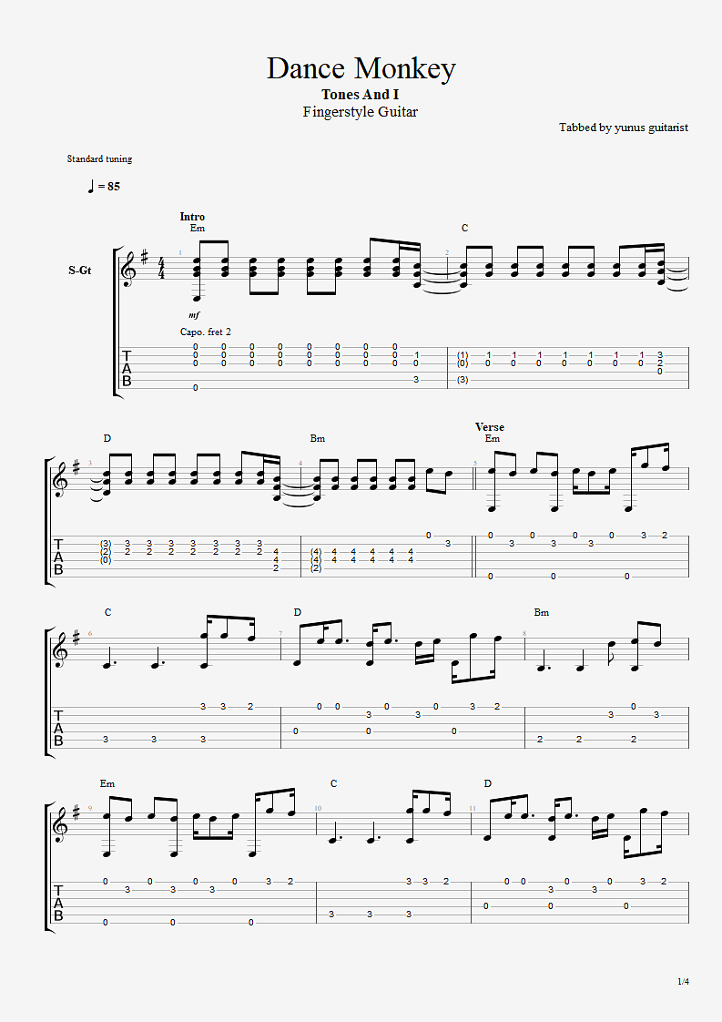 Fingerstyle Guitar Dance Monkey