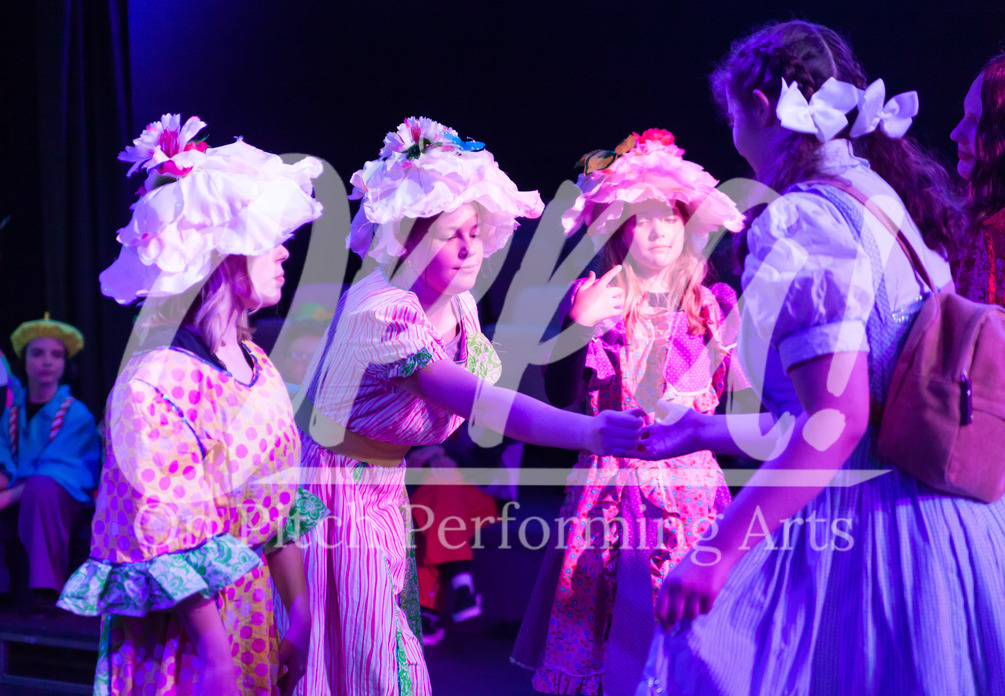 Wizard of oz JR (young performers edition NOT KIDS) DRESS rehearsal photos