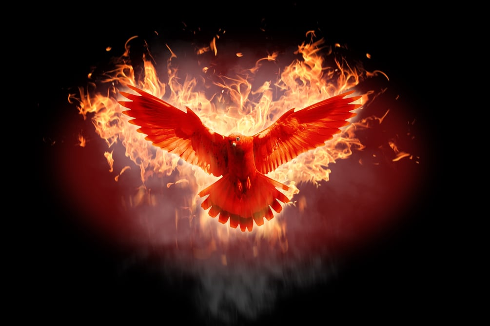 Frau der himmlischen Bestimmung