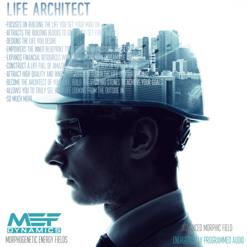 Life architect. мемы про архитекторов. Life of architect. Life architect. юмор в архитектуре.