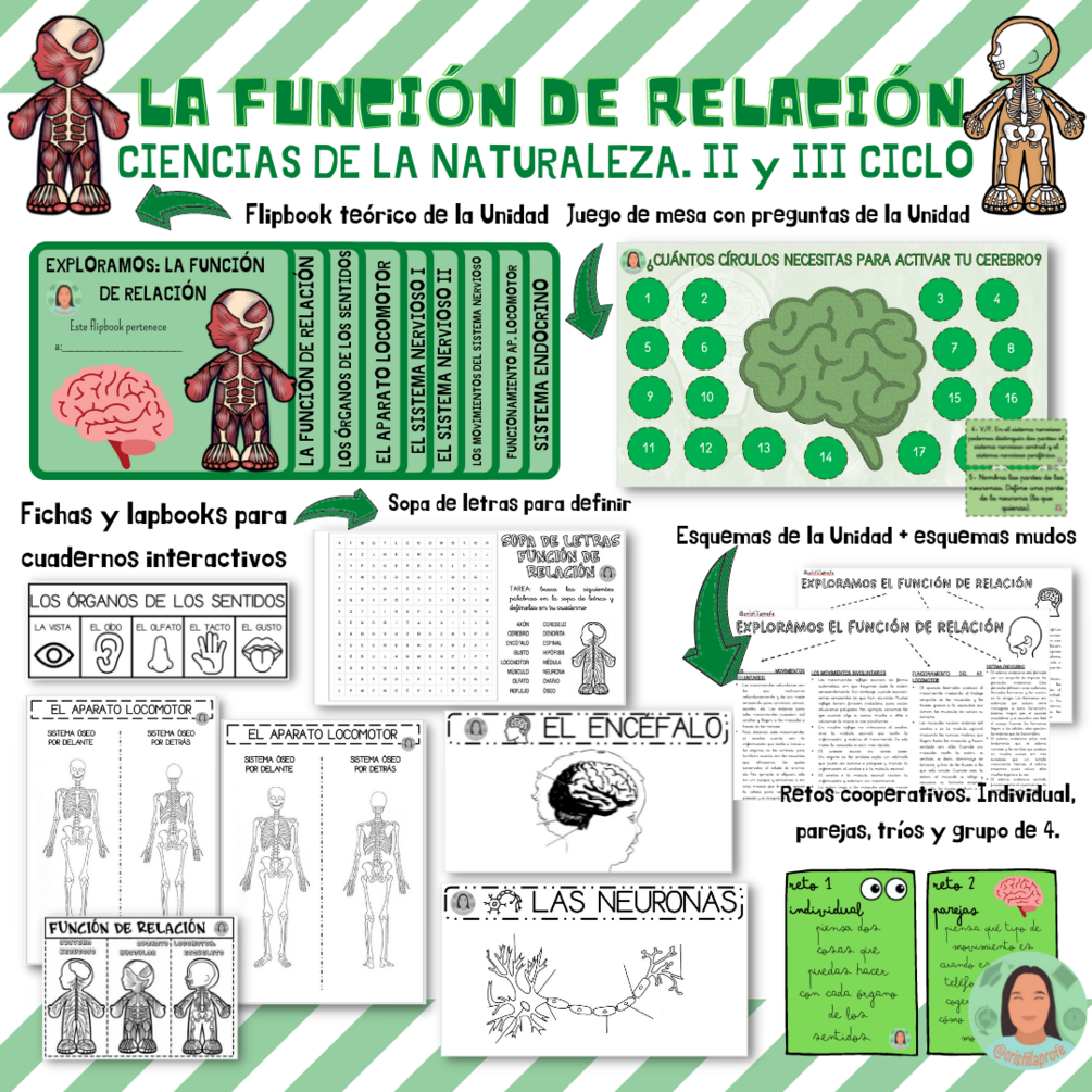 LA FUNCIÓN DE RELACIÓN