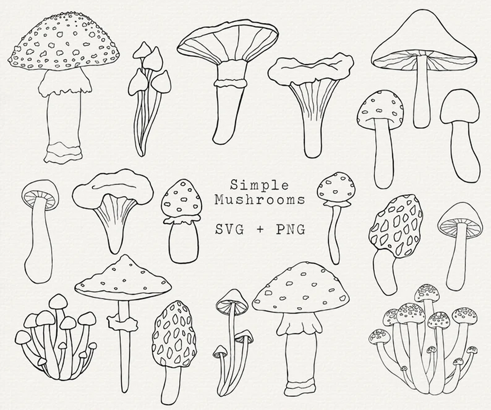 Simple Mushroom SVG Bundle Mushroom Outline Cut File For Cricut Silhouette Die Cut Laser 