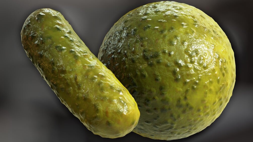 Procedural Pickle Material