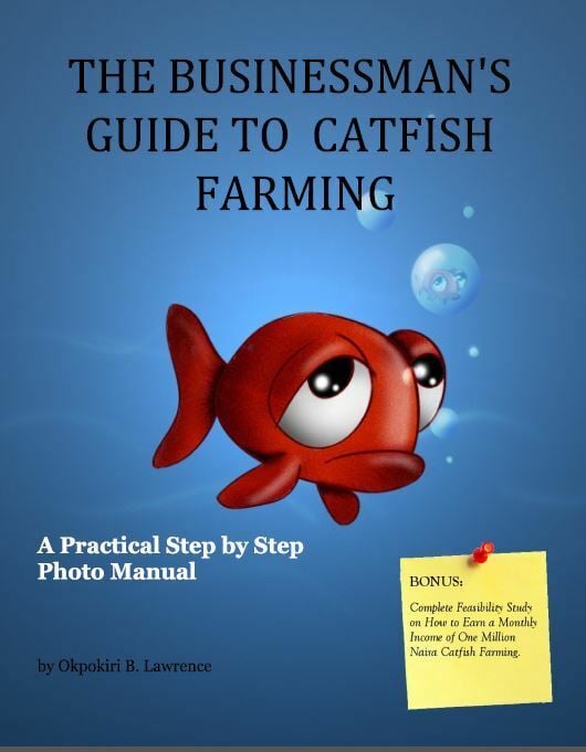 The Businessman's Guide to Catfish Farming