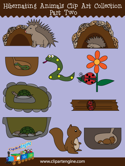 Hibernating Animals Clip Art Collection (Part 2)