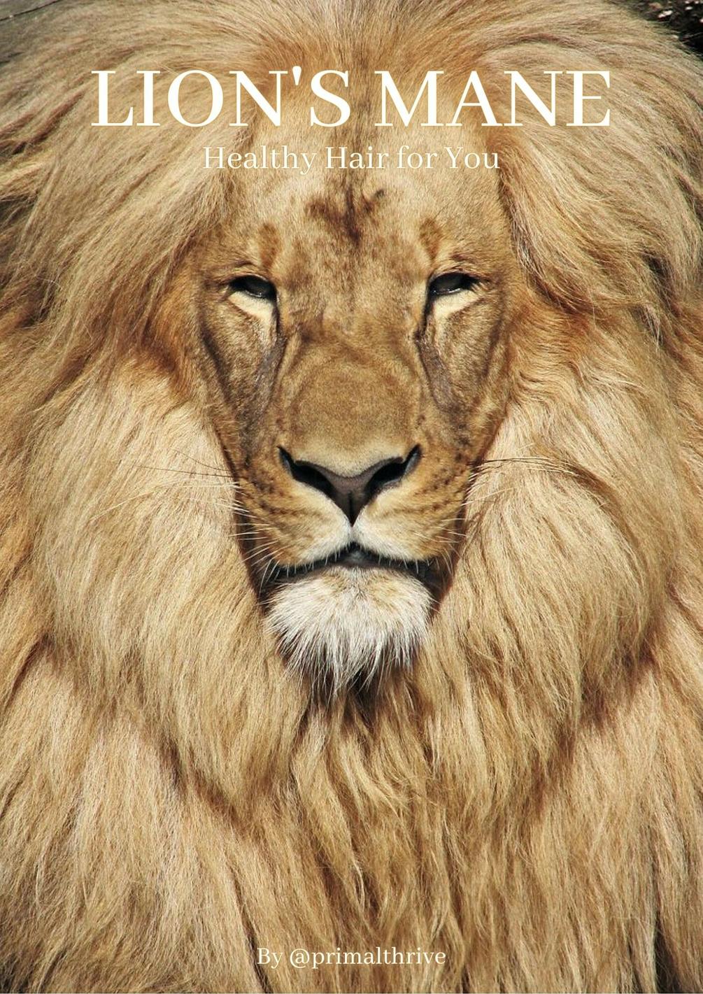 Lion's Mane, Healthy Hair for You