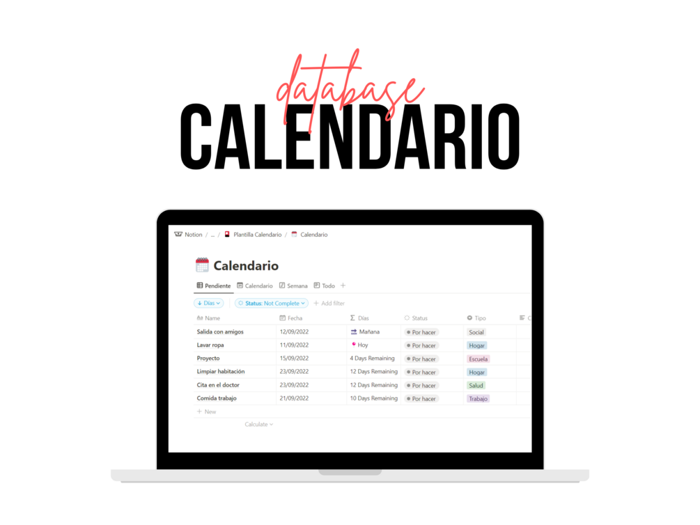 Calendario Database Notion