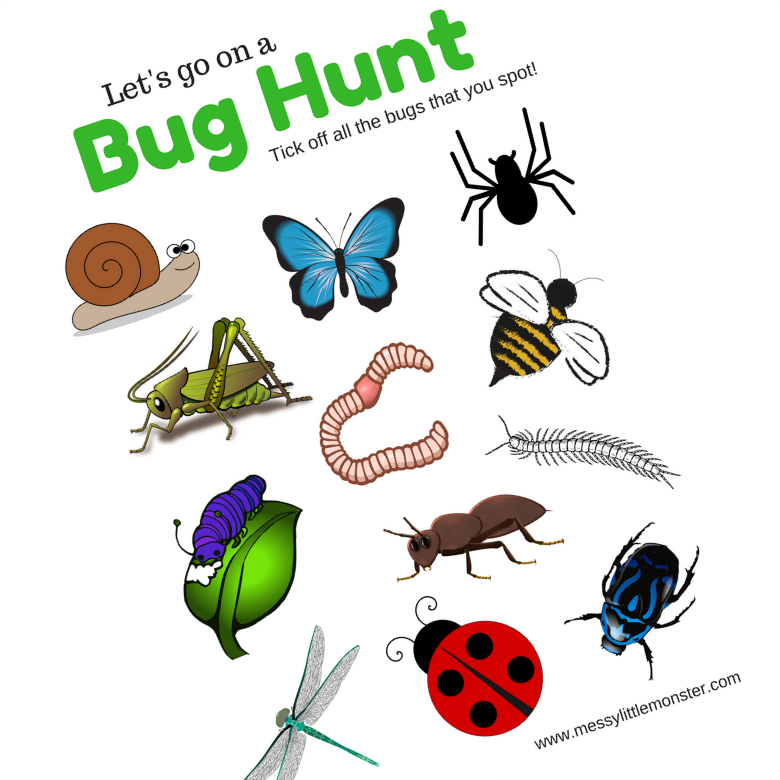 Bug Hunt