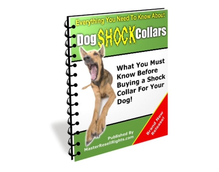 Dog shock Collars