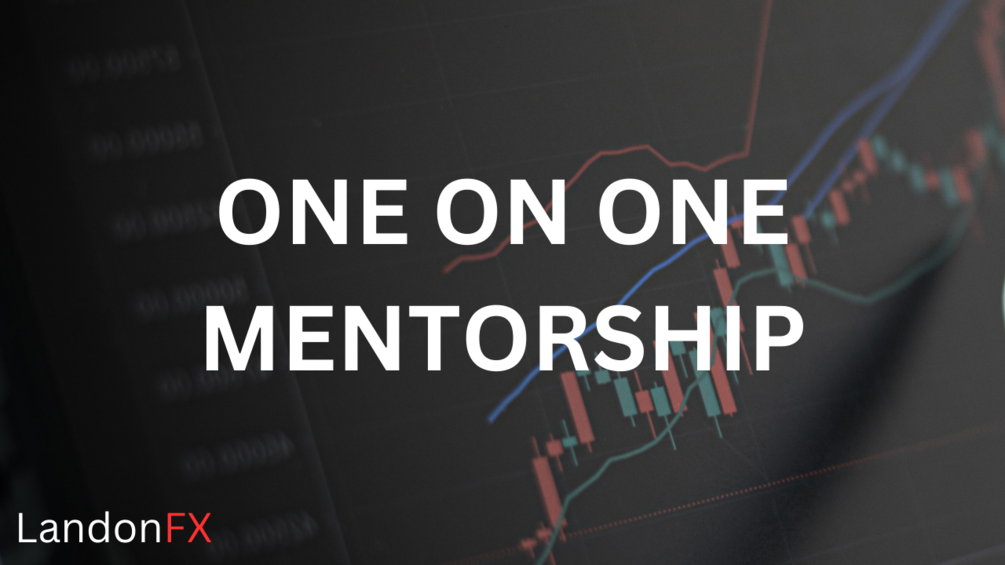  one on one mentorship 