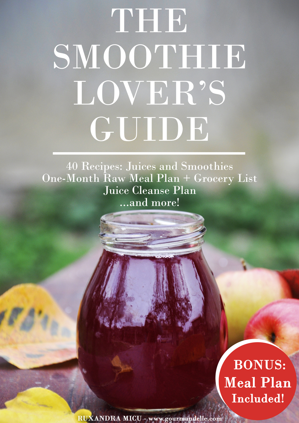 The Smoothie Lover's Guide