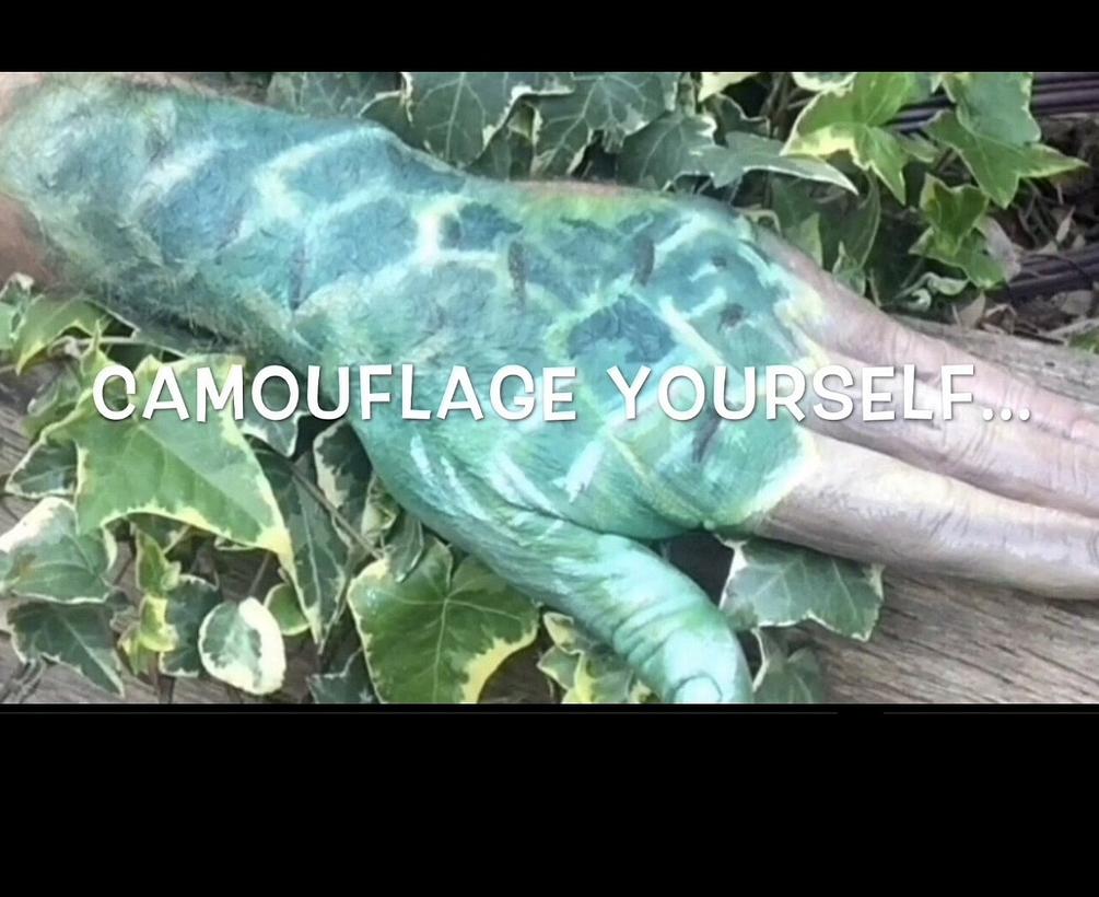 VIDEO 65 Camouflage Yourself