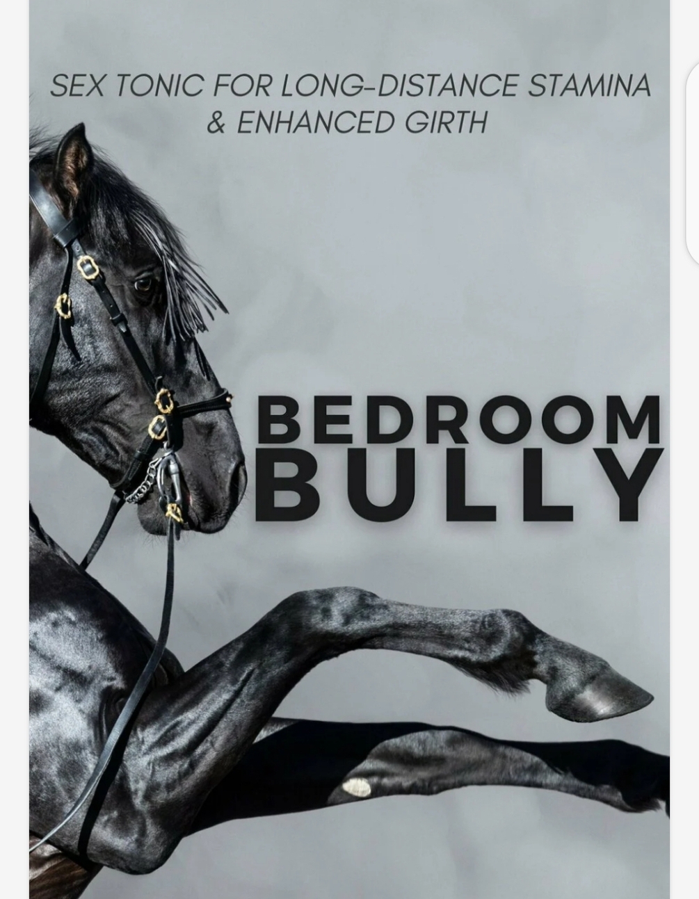 Bedroom bully tonic by Keiko
