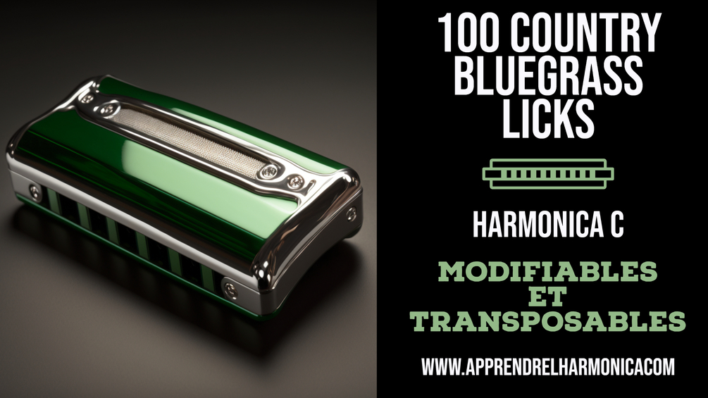 100 Country Bluegrass Licks Harmonica C 2017