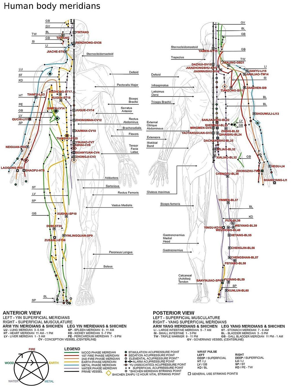 Tong Ren Automated Advanced Healing