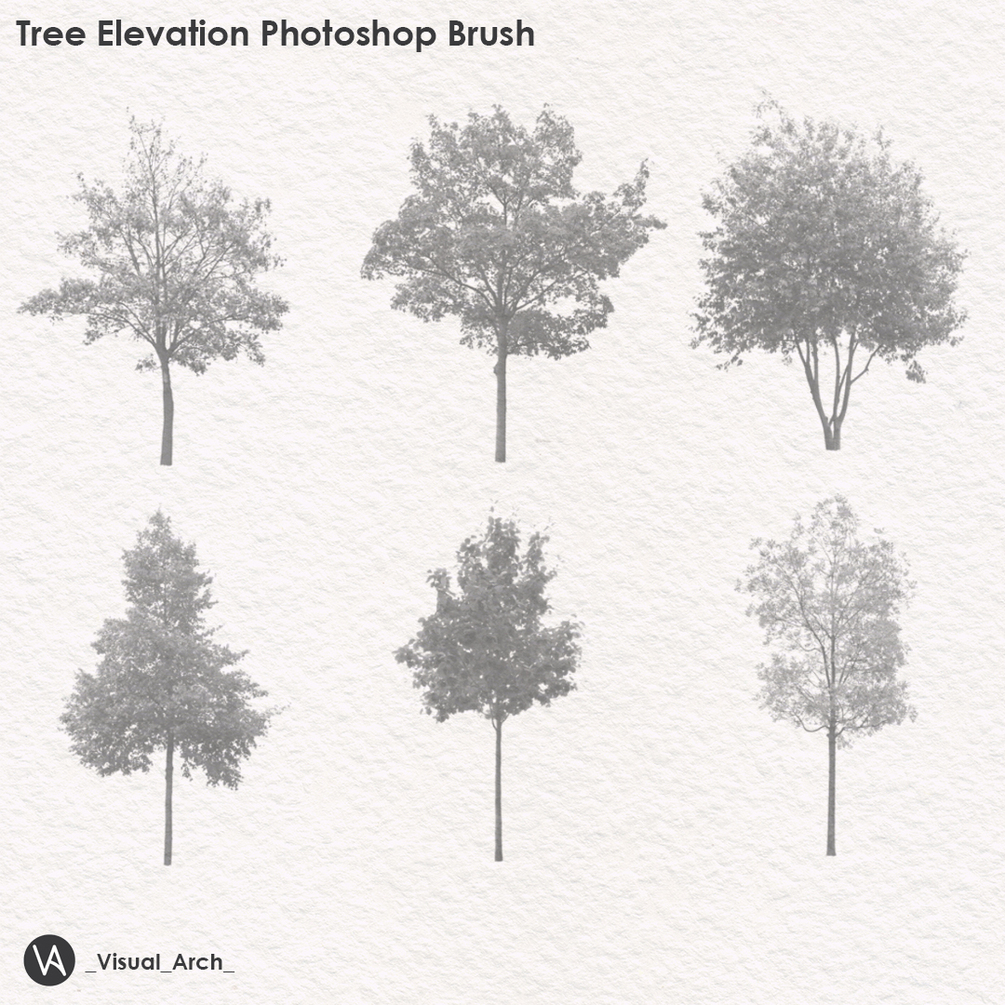 Tree Elevation Photoshop Brushes