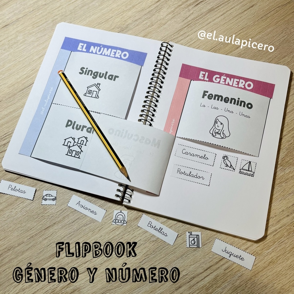 Flipbook género y número