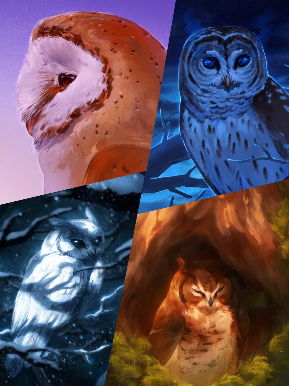 Owl Wallpaper